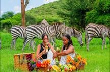 Full Day Wildlife Adventure at JKT Ruvu Camp from Dar es Salaam