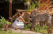 Full Day Wildlife Adventure at JKT Ruvu Camp from Dar es Salaam
