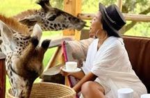 Full Day Wildlife Adventure at JKT Ruvu Camp from Dar es Salaam