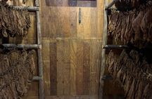 Puerto Plata Rum and Cigar Experience for Adults Only