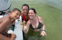3 Hour Private Shell Island Dolphin and Snorkeling Tour