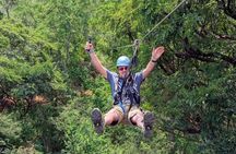 3 Zipline Adventure (Optional Waikiki Shuttle for 10am Tours)