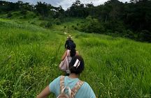 Advanced Hiking to Mismaloya Waterfall & Sierra Madre