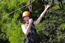 Oahu:6 Zipline Adventure (Optional Waikiki Shuttle for 10am Tour)