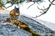 Advanced Hike & Photography