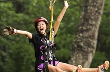 Jungle Zipline Adventure Fly Above the Trees in Punta Cana