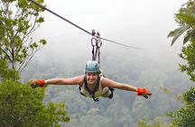 Jungle Zipline Adventure Fly Above the Trees in Punta Cana