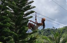 Jungle Zipline Adventure Fly Above the Trees in Punta Cana