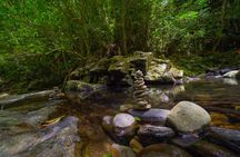Do Quyen Waterfall Top Adventure Conquering - Bach Ma Park