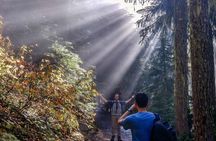 Garibaldi Lake Hike & Photography