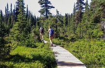 Garibaldi Lake Hike & Photography
