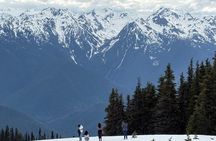 Touring Olympic National Park, Mountains, Lake, and Rainforest