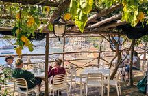 Lemon and Views : Amalfi Monumental Garden Tour