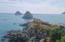 Busan- Private Tour with hidden tourist attractions