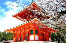 Koyasan Spiritual Day Trip: Goma Fire Ritual & Okunoin Forest