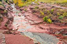 Waterton National Park Scenic Day Tour from Calgary