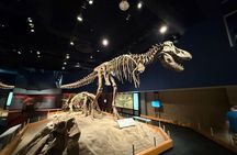 Drumheller & Hoodoos Private Luxury guided Day Tour from Calgary
