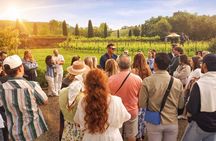 San Gimignano Wine Tasting & Tuscan Dinner at a Local Winery