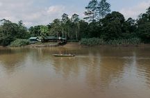 Sandakan: 4D3N Kinabatangan, Forest, Sepilok and Cave