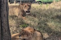 6 Days Safari Adventure in Maasai Mara