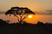 6 Days Safari Adventure in Maasai Mara