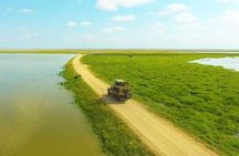 2- Day Amboseli & Mt Kilimanjaro Fly In Safari from Diani Beach