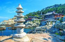 Busan Shore Excursion for Cruise Guests with Guaranteed Return