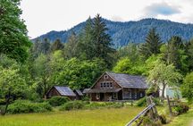 Lake Quinault Rainforest Tour Nature and Wildlife Adventure
