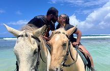 Bamboo River Rafting & horse back riding in Montego Bay