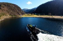 Bergen: Mostraumen Fjord Safari - by Premium RIB Boat