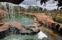 Crocoparc and Goats in the Argan Trees Tour from Agadir