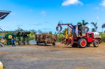 San Juan Artisan Distillers Sugarcane Estate Rum Distillery
