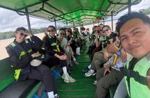 Parrots in Tambopata and search for sloths