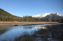 Customized Private Juneau Sightseeing SUV/Van Excursion