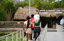 Everglades Express From Miami with Safari Airboat Ride