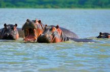 Nairobi Private Lake Naivasha Hells Gate Tour