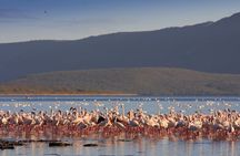 Nairobi Private Lake Naivasha Hells Gate Tour