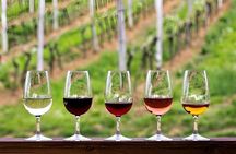 Saturday Evening Temecula Wine Tasting Includes Dinner & Dancing