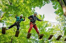 Treetop Trekking Brampton Zipline & Aerial Game Trek