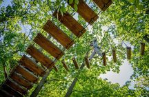 Treetop Trekking Brampton Zipline & Aerial Game Trek