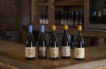 Alcohuaz Signature Wine Tasting