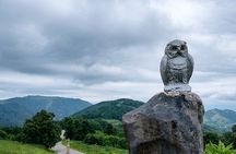 Didgori Battle Memorial Private Tour from Tbilisi