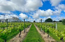Kumeu Wine Tasting & Local Flavours Tour: Vines, Brews & Views