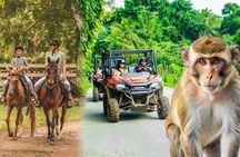 Visit to a local Ranch Plantation with Monkeys Horseback & Buggy