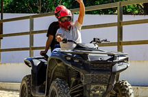 Explore the Jungle by off-road vehicle