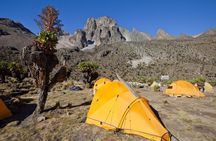 Day Tour in Mount Kenya from Nairobi with Lunch