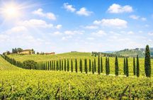 Florence Day Trip: Pisa, San Gimignano and Siena with Lunch