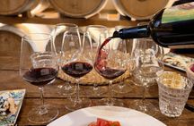 Florence Tuscany in a day: Siena, San Gimignano, Pisa Small Group