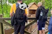 Private Guided Tour to Chengdu Panda Base