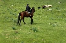 Samarkand Horseback Riding Tour with Pickup and Drop off